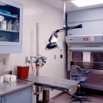 Biomedical Laboratory Research Building